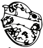 Switchbox Lower (Euro 5746268-01 Switchbox Lower (Euro 5746268-01