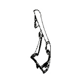 Cone 5748107-02 Cone 5748107-02