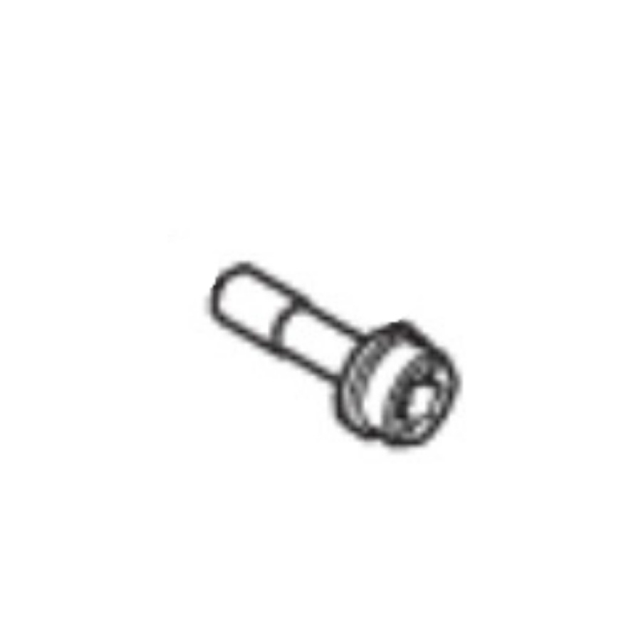 Bolt internal Torx socket head