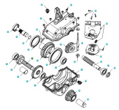 Shoulder 5803146-01 Shoulder 5803146-01