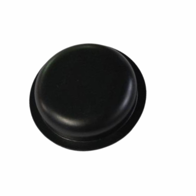 Hub Capsule 5817375-01