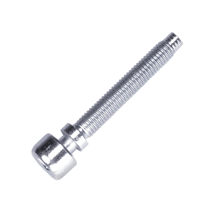 Screw 5866416-01