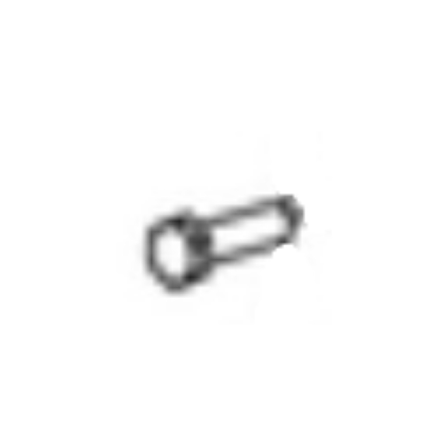 Screw 5884095-01