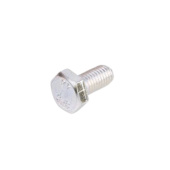 Screw Screw