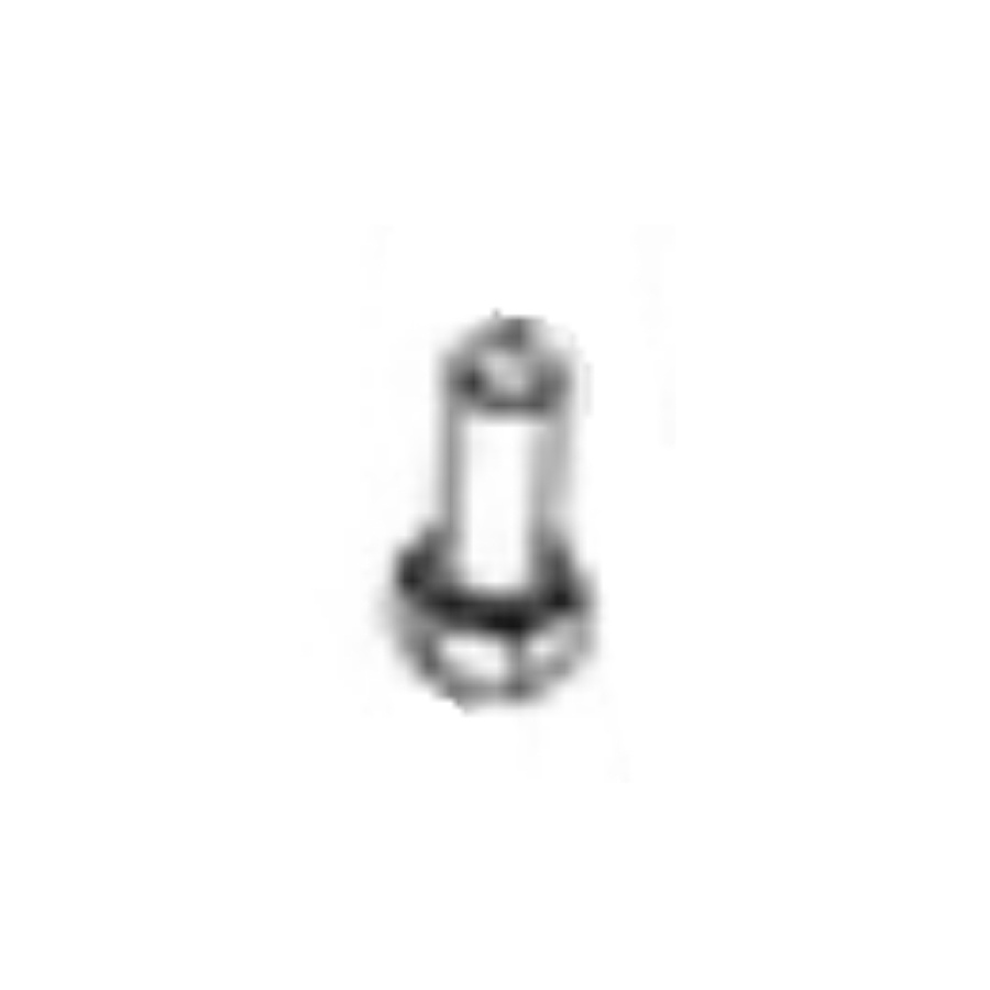 Screw
