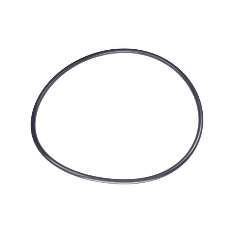 O-Ring 160X5.5 5885243-01