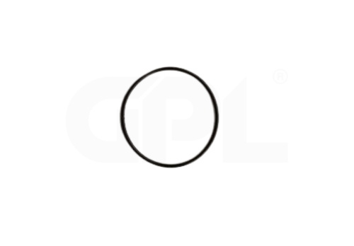 O-Ring 5888488-01