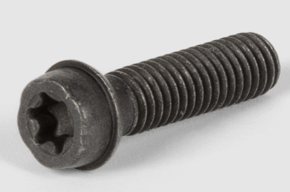 Screw 5893089-01