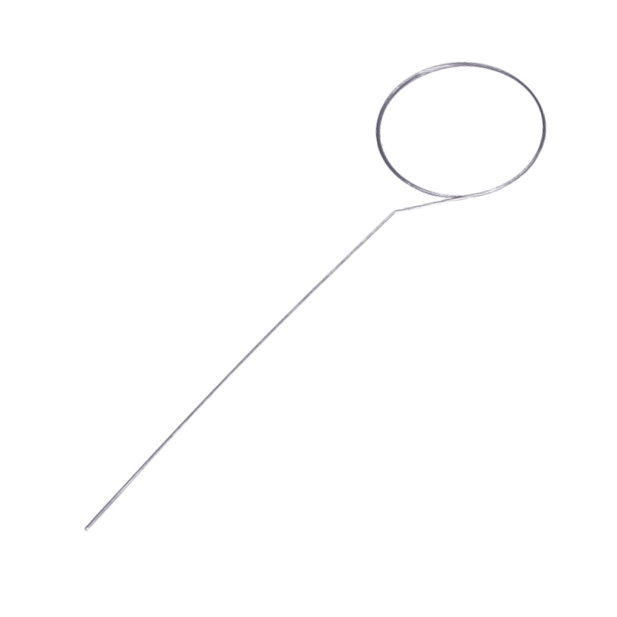 Cleaning Needle 5970065-01