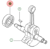 Bearing Bearing