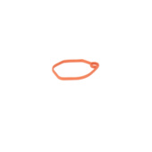 Gasket carburetors Gasket carburetors