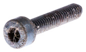 Screw Mc6S 4X20 Ritn 811 7255295-55 Screw Mc6S 4X20 Ritn 811 7255295-55