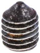 Screw S6Ss 8X10 Screw S6Ss 8X10