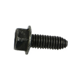 Screw Screw
