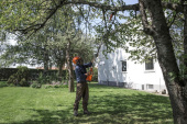 HUSQVARNA 120iTK4-P Battery Polesaw + BLi10 & QC80 HUSQVARNA 120iTK4-P Battery Polesaw + BLi10 & QC80