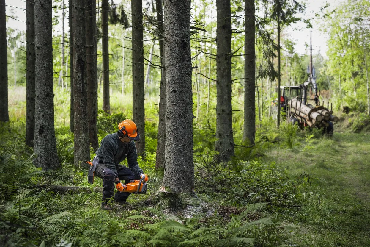 Husqvarna 450X Chainsaw