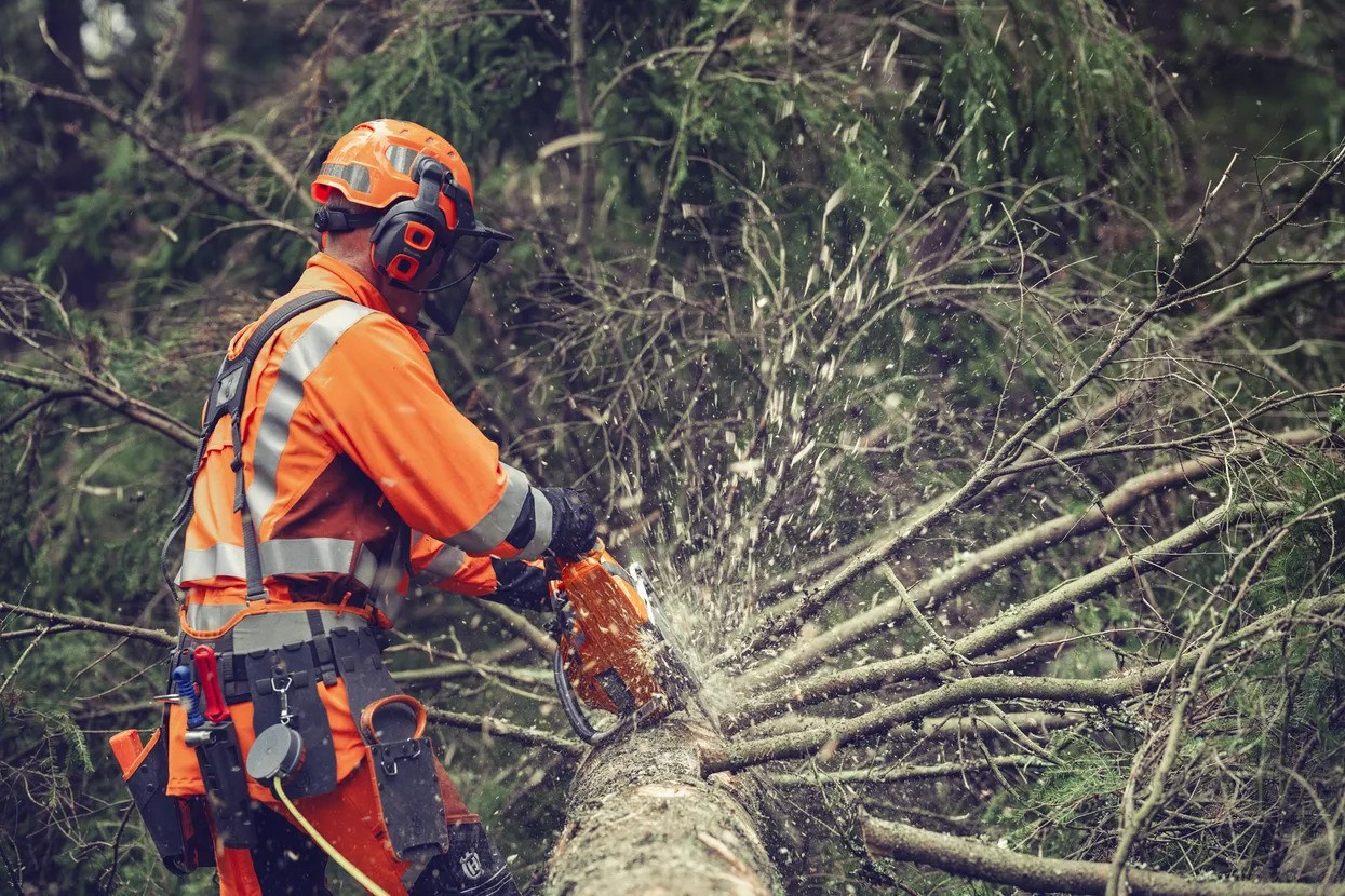 Husqvarna 564 XP G Fuel Inject Starter Kit